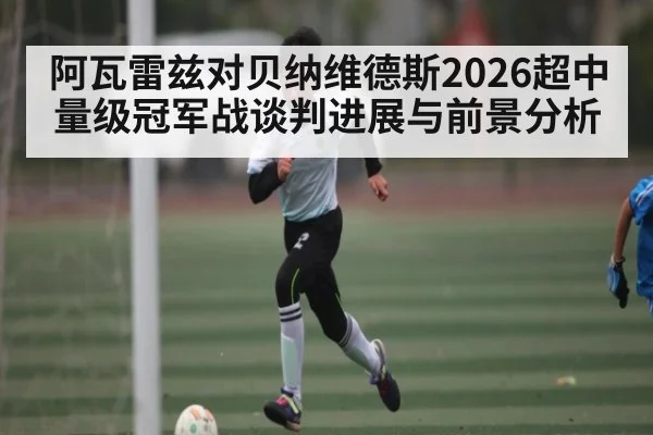 阿瓦雷兹对贝纳维德斯2026超中量级冠军战谈判进展与前景分析
