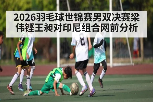 2026羽毛球世锦赛男双决赛梁伟铿王昶对印尼组合网前分析